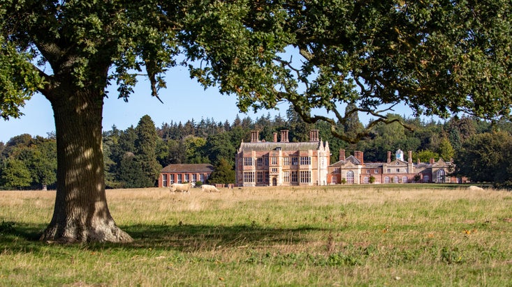 Felbrigg Hall viewed across parkland with sheep grazing beneath a large oak tree.